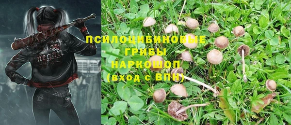 прущая мука Надым