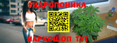прущие крисы Ирбит
