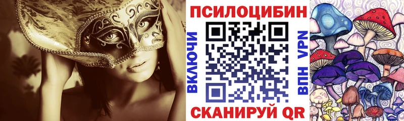 Галлюциногенные грибы Cubensis Новочебоксарск