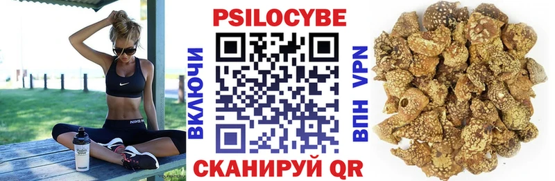 Псилоцибиновые грибы Magic Shrooms где купить наркотик Новочебоксарск