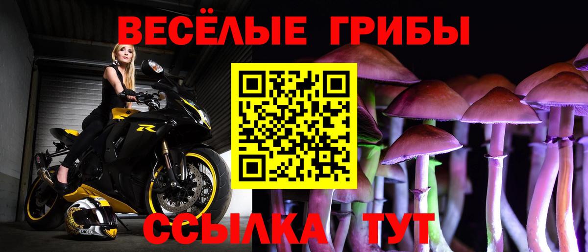 Новочебоксарск  закладки  Галлюциногенные грибы Cubensis  Вход с VPN  Псилоцибиновые грибы ЛСД 