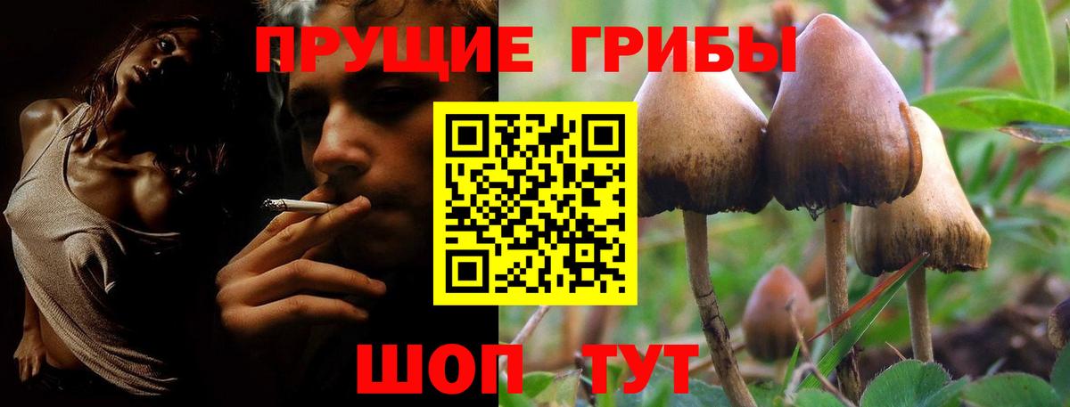 Псилоцибиновые грибы прущие грибы Новочебоксарск